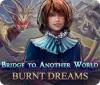 Žaidimas Bridge to Another World: Burnt Dreams