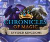 Žaidimas Chronicles of Magic: The Divided Kingdoms
