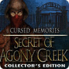 Žaidimas Cursed Memories: The Secret of Agony Creek Collector's Edition