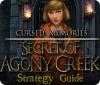 Žaidimas Cursed Memories: The Secret of Agony Creek Strategy Guide