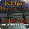 Žaidimas Dark Tales: Edgar Allan Poe's The Black Cat Collector's Edition