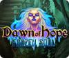 Žaidimas Dawn of Hope: Frozen Soul