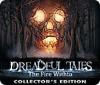 Žaidimas Dreadful Tales: The Fire Within Collector's Edition