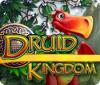 Žaidimas Druid Kingdom