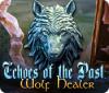 Žaidimas Echoes of the Past: Wolf Healer