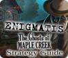 Žaidimas Enigmatis: The Ghosts of Maple Creek Strategy Guide