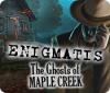 Žaidimas Enigmatis: The Ghosts of Maple Creek
