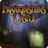 Žaidimas Escape from Frankenstein's Castle