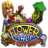Žaidimas Flower Shop: Big City Break