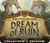 Žaidimas Forgotten Kingdoms: Dream of Ruin Collector's Edition