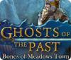 Žaidimas Ghosts of the Past: Bones of Meadows Town