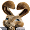Žaidimas Hop: Easter Bunny Coloring