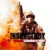 Žaidimas Insurgency: Sandstorm