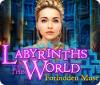 Žaidimas Labyrinths of the World: Forbidden Muse