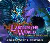 Žaidimas Labyrinths of the World: Hearts of the Planet Collector's Edition