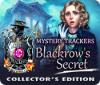 Žaidimas Mystery Trackers: Blackrow's Secret Collector's Edition