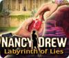 Žaidimas Nancy Drew: Labyrinth of Lies