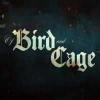 Žaidimas Of bird and cage