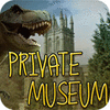 Žaidimas Private Museum