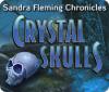 Žaidimas Sandra Fleming Chronicles: The Crystal Skulls