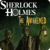 Žaidimas Sherlock Holmes: The Awakened