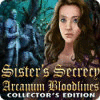 Žaidimas Sister's Secrecy: Arcanum Bloodlines Collector's Edition