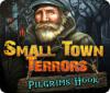 Žaidimas Small Town Terrors: Pilgrim's Hook