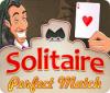 Žaidimas Solitaire Perfect Match