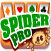 Žaidimas Spider Pro