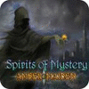 Žaidimas Spirits of Mystery: Amber Maiden Collector's Edition