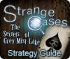 Žaidimas Strange Cases: The Secrets of Grey Mist Lake Strategy Guide