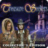 Žaidimas Treasure Seekers: Follow the Ghosts Collector's Edition