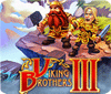 Žaidimas Viking Brothers 3 Collector's Edition