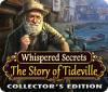 Žaidimas Whispered Secrets: The Story of Tideville Collector's Edition