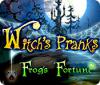 Žaidimas Witch's Pranks: Frog's Fortune