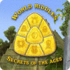 Žaidimas World Riddles: Secrets of the Ages